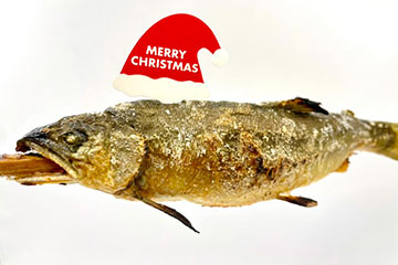 シュテッケルフィッシュ