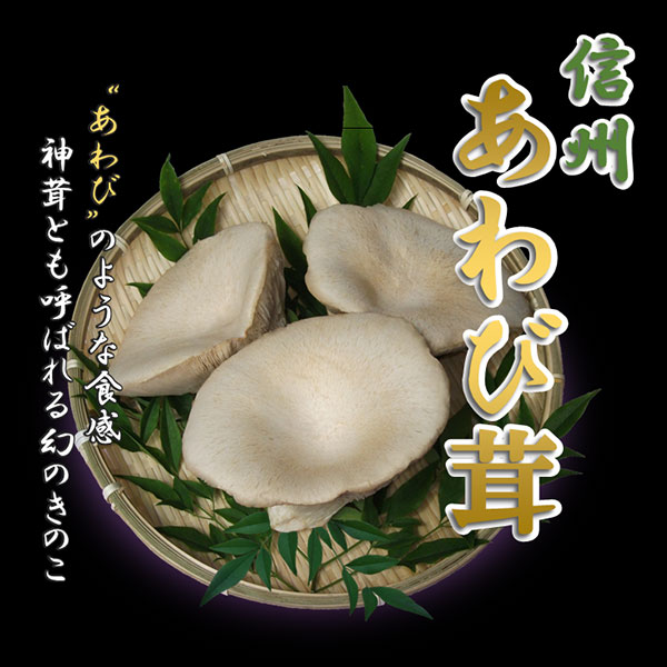 スペシャル企画
